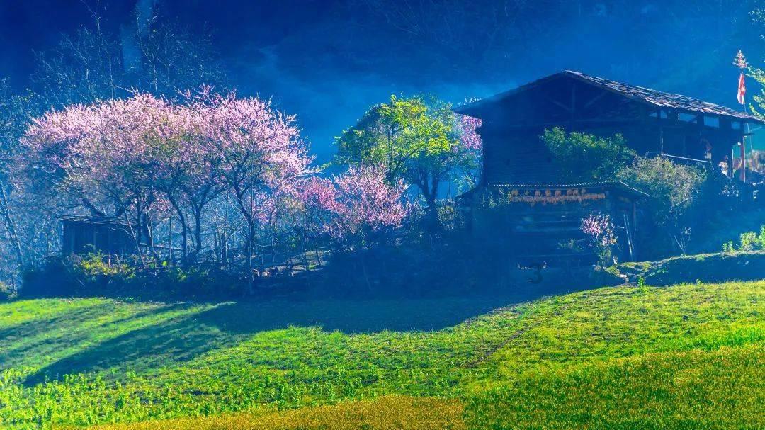 创作猫