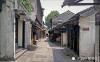 小猫钓鱼游戏龙王版有船
